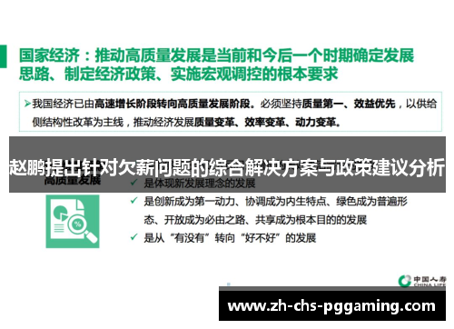 赵鹏提出针对欠薪问题的综合解决方案与政策建议分析