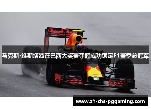 马克斯·维斯塔潘在巴西大奖赛夺冠成功锁定F1赛季总冠军