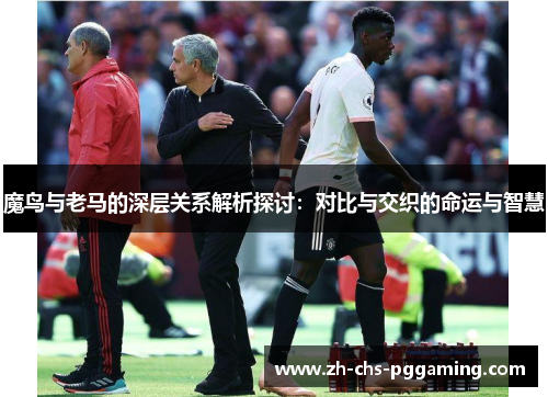 魔鸟与老马的深层关系解析探讨：对比与交织的命运与智慧