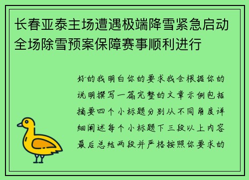 长春亚泰主场遭遇极端降雪紧急启动全场除雪预案保障赛事顺利进行